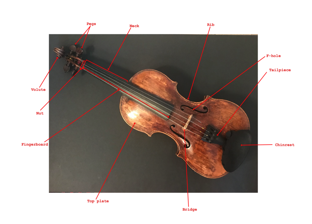 how many notes are in flight of the bumblebee violin